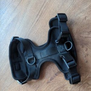 Small Wild One Harness